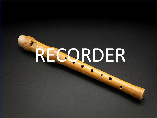 recorder lessons online